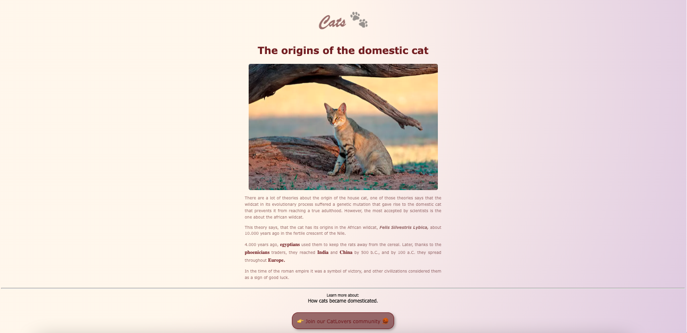 cats landing page